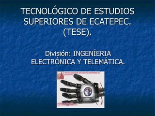 TECNOLÓGICO DE ESTUDIOS SUPERIORES DE ECATEPEC. (TESE). División: INGENÍERIA ELECTRÓNICA Y TELEMÁTICA. 