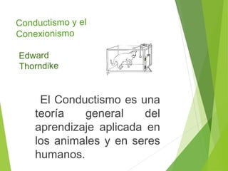 Conductismo y el
Conexionismo
El Conductismo es una
teoría general del
aprendizaje aplicada en
los animales y en seres
humanos.
Edward
Thorndike
 