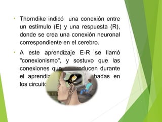 • Thorndike indicó una conexión entre
un estímulo (E) y una respuesta (R),
donde se crea una conexión neuronal
correspondiente en el cerebro.
• A este aprendizaje E-R se llamó
"conexionismo", y sostuvo que las
conexiones que se producen durante
el aprendizaje quedan grabadas en
los circuitos del cerebro.
 
