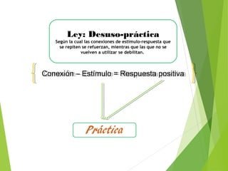 Ley: Desuso-práctica
Según la cual las conexiones de estímulo-respuesta que
se repiten se refuerzan, mientras que las que no se
vuelven a utilizar se debilitan.
Conexión – Estímulo = Respuesta positivaConexión – Estímulo = Respuesta positiva
 