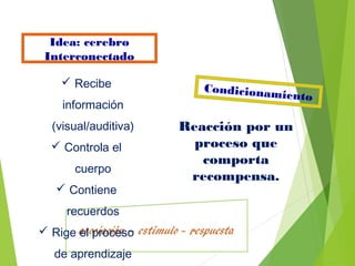 Condicionamiento
Idea: cerebro
Interconectado
 Recibe
información
(visual/auditiva)
 Controla el
cuerpo
 Contiene
recuerdos
 Rige el proceso
de aprendizaje
Reacción por un
proceso que
comporta
recompensa.
 