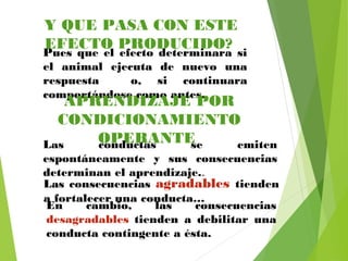 Y QUE PASA CON ESTE
EFECTO PRODUCIDO?
Pues que el efecto determinara si
el animal ejecuta de nuevo una
respuesta o, si continuara
comportándose como antes.
APRENDIZAJE POR
CONDICIONAMIENTO
OPERANTELas conductas se emiten
espontáneamente y sus consecuencias
determinan el aprendizaje..
Las consecuencias agradables tienden
a fortalecer una conducta…
En cambio, las consecuencias
desagradables tienden a debilitar una
conducta contingente a ésta.
 