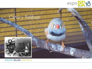 Canary Release
 