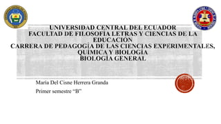María Del Cisne Herrera Granda
Primer semestre “B”
 