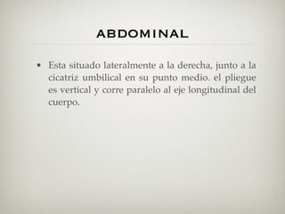 abdominal
• Esta situado lateralmente a la derecha, junto a la
  cicatriz umbilical en su punto medio. el pliegue
  es vertical y corre paralelo al eje longitudinal del
  cuerpo.
 