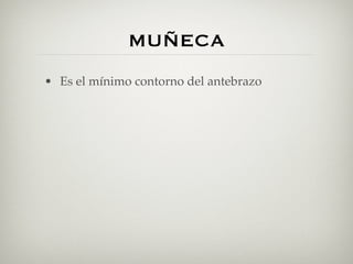 MUÑECA
• Es el mínimo contorno del antebrazo
 