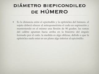 diámetro biepicondileo
     de HÚMERO
•   Es la distancia entre el epicóndilo y la epitróclea del húmero. el
    sujeto deberá ofrecer al antropometrista el codo en supinación y
    manteniendo en el mismo una ﬂexión de 90 grados. las ramas
    del calibre apuntan hacia arriba en la bisectriz del ángulo
    formado por el codo. la medida es algo oblicua, debido a que la
    epitróclea suele estar en un plano algo inferior al epicóndilo.
 