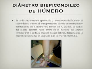 diámetro biepicondileo
     de HÚMERO
•   Es la distancia entre el epicóndilo y la epitróclea del húmero. el
    sujeto deberá ofrecer al antropometrista el codo en supinación y
    manteniendo en el mismo una ﬂexión de 90 grados. las ramas
    del calibre apuntan hacia arriba en la bisectriz del ángulo
    formado por el codo. la medida es algo oblicua, debido a que la
    epitróclea suele estar en un plano algo inferior al epicóndilo.
 