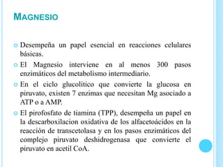 MAGNESIO
 Desempeña un papel esencial en reacciones celulares
básicas.
 El Magnesio interviene en al menos 300 pasos
enzimáticos del metabolismo intermediario.
 En el ciclo glucolítico que convierte la glucosa en
piruvato, existen 7 enzimas que necesitan Mg asociado a
ATP o a AMP.
 El pirofosfato de tiamina (TPP), desempeña un papel en
la descarboxilacion oxidativa de los alfacetoácidos en la
reacción de transcetolasa y en los pasos enzimáticos del
complejo piruvato deshidrogenasa que convierte el
piruvato en acetil CoA.
 