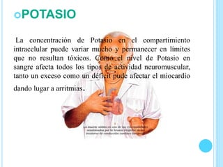 POTASIO
La concentración de Potasio en el compartimiento
intracelular puede variar mucho y permanecer en límites
que no resultan tóxicos. Como el nivel de Potasio en
sangre afecta todos los tipos de actividad neuromuscular,
tanto un exceso como un déficit pude afectar el miocardio
dando lugar a arritmias.
 