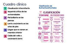 Fontaine Or Rutherford PATOLOGIAS QUIRURGICAS ARTERIALES Y VENOSAS | PDF