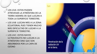 • LOS UVA: ESTOS PUEDEN
ATREVESAR LA ATMÓSFERA DE LA
TIERRA ADEMÁS DE QUE LLEGAN A
TODA LA SUPERFICIE TERRESTRE.
• LOS UVB: LLEGAN MÁS A LA ZONA
ECUATORIAL PUES TIENEN MUCHO
MÁS DIFICULTAD DE LLEGAR A LA
SUPERFICIE TERRESTRE.
• LOS UVC: ESTOS RAYOS
ULTRAVIOLETA NO LLEGAN A LA
ATMÓSFERA SINO QUE SON
ABSORBIDOS POR LA CAPA DE
OZONO
 