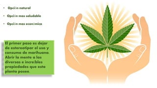 • Opción natural
El primer paso es dejar
de estereotipar el uso y
consumo de marihuana.
Abrir la mente a las
diversas e increíbles
propiedades que esta
planta posee.
• Opción mas saludable
• Opción mas económica
 
