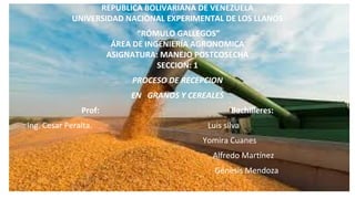 REPUBLICA BOLIVARIANA DE VENEZUELA
UNIVERSIDAD NACIONAL EXPERIMENTAL DE LOS LLANOS
“RÓMULO GALLEGOS”
ÁREA DE INGENIERÍA AGRONOMICA
ASIGNATURA: MANEJO POSTCOSECHA
SECCION: 1
PROCESO DE RECEPCION
EN GRANOS Y CEREALES
Prof: Bachilleres:
Ing. Cesar Peralta. Luis silva
Yomira Cuanes
Alfredo Martínez
Génesis Mendoza
 