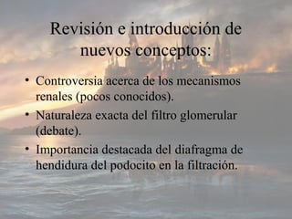 Revisión e introducción de
nuevos conceptos:
• Controversia acerca de los mecanismos
renales (pocos conocidos).
• Naturaleza exacta del filtro glomerular
(debate).
• Importancia destacada del diafragma de
hendidura del podocito en la filtración.
 