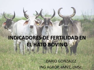 INDICADORES DE FERTILIDAD EN
EL HATO BOVINO
DARIO GONZALEZ
ING AGROP, eMVZ, cMSc.
 