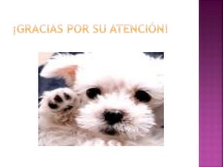 Resinas operatoria dental