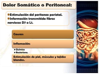 Por estimulación del peritoneo visceral.


 Puede ser:
    Ulcerante. Causas:
        Herpes zoster.
        Hernia línea ...