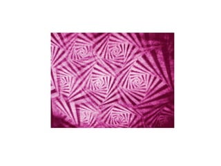 Exposicion Elementos Organico