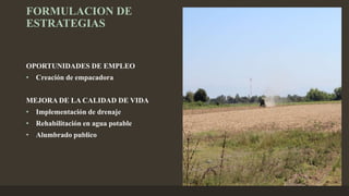 FORMULACION DE
ESTRATEGIAS
OPORTUNIDADES DE EMPLEO
• Creación de empacadora
MEJORA DE LA CALIDAD DE VIDA
• Implementación de drenaje
• Rehabilitación en agua potable
• Alumbrado publico
 