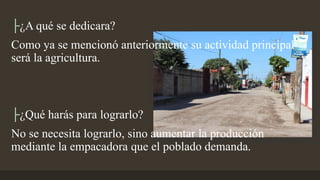├¿A qué se dedicara?
Como ya se mencionó anteriormente su actividad principal
será la agricultura.
├¿Qué harás para lograrlo?
No se necesita lograrlo, sino aumentar la producción
mediante la empacadora que el poblado demanda.
 