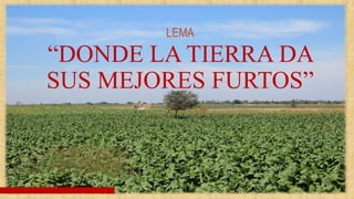 ”
“DONDE LA TIERRA DA
SUS MEJORES FURTOS”
LEMA
 