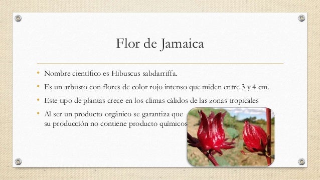 Exportación de flor de jamaica hacia canadá