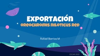 Exportación
oreochromis niloticus red
Rafael Barrios M
CECAR 2022
 