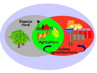 Espacio
rural
Agricultura
Cadena
agroalimentaria
 