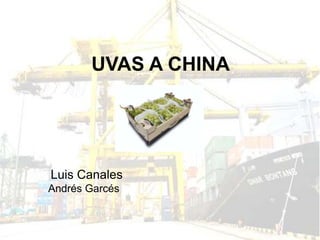 UVAS A CHINA




Luis Canales
Andrés Garcés
 