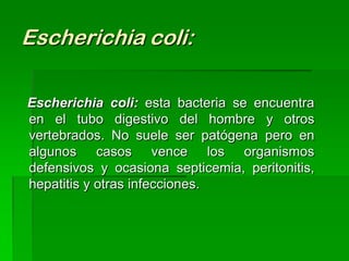 Escherichia coli:

Escherichia coli: esta bacteria se encuentra
en el tubo digestivo del hombre y otros
vertebrados. No suele ser patógena pero en
algunos casos vence los organismos
defensivos y ocasiona septicemia, peritonitis,
hepatitis y otras infecciones.
 