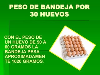PESO DE BANDEJA POR
      30 HUEVOS


CON EL PESO DE
UN HUEVO DE 50 A
60 GRAMOS LA
BANDEJA PESA
APROXIMADAMEN
TE 1620 GRAMOS.
 