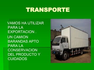 TRANSPORTE

VAMOS HA UTILIZAR
PARA LA
EXPORTACION .
UN CAMION
BARANDAS APTO
PARA LA
CONSERVACION
DEL PRODUCTO Y
CUIDADOS
 