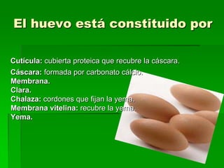 El huevo está constituido por

Cutícula: cubierta proteica que recubre la cáscara.
Cáscara: formada por carbonato cálcio.
Membrana.
Clara.
Chalaza: cordones que fijan la yema.
Membrana vitelina: recubre la yema.
Yema.
 
