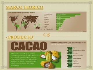 MARCO TEORICO




- PRODUCTO   
 