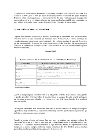 El contenido en azúcar es muy importante, ya que existe una cierta relación con la "valoración de la
calidad de la pulpa", esta se mide por medio de un refractómetro; el cual mide los grados brix (nivel
de azúcar- sólido soluble), para esto se toma una muestra del fruto y se la coloca en el equipo antes
mencionado y este a su vez indicara el grado que posee, siendo el aconsejable para exportación un
nivel mínimo de 8 grados y este a su vez dependerá de las exigencias de los mercados.
CARACTERÍSTICAS DE MADURACIÓN.
Depende de la variedad y el estado de madurez requerido por el consumidor final. Tradicionalmente
esta fruta tropical ha sido consumida en diferentes etapas de madurez. Las culturas orientales, por
ejemplo, demandan mango verde mayoritariamente. Sin embargo, estudios de mercado demuestran
que los mayores niveles de ventas son los de mango maduro (color amarillo o rojo intensos según la
variedad). A continuación, se especifican las características de color de la fruta madura según las
diferentes variedades.
Cuadro No.17
Fuente:
Geomar Internacional
Cuando el mango empieza a mostrar color en el árbol, todas las frutas de ese tamaño o más grandes
se pueden cosechar. El primer indicio de maduración es la aparición de color amarillo en la punta
que cuelga de la rama, otro indicador es el cambio en el color de la carne alrededor de la semilla, de
blanco a amarillo.
Las mejores condiciones para maduración post cosecha se dan colocando los mangos con la punta
(ápex) hacia abajo en charoles, a temperatura ambiente y cubiertos con tela húmeda para evitar que
las frutas se marchiten, encojan o arruguen.
Cuando se realiza el corte del mango hay que tener un cuidado muy estricto mediante las
“parejuelas”30, ya que si el fruto es manchado por el látex al momento de su selección tendera a ser
rechazado y a su vez no poder ser exportado al lugar de destino. Dentro de la producción total del
mango por lo general siempre existe una pérdida aproximada del 25% debido a golpes, manchas,
quemaduras en el proceso hidrotérmico, picaduras de insectos, etc.
 