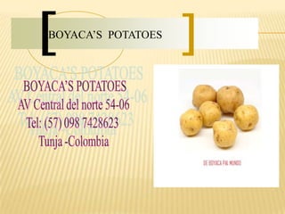 BOYACA’S POTATOES
 