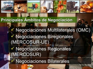 Principales Ámbitos de Negociación Negociaciones Multilaterales (OMC) Negociaciones Biregionales (MERCOSUR-UE) Negociaciones Bilaterales Negociaciones Regionales (MERCOSUR) 