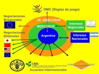 Acuerdos Internacionales  Argentina Intereses Nacionales Intereses Regionales OMC (Reglas de juego) Negociaciones Bilaterales MERCOSUR UE -MERCOSUR Negociaciones Biregionales 