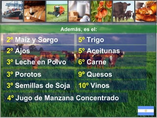 Además, es el: 2º  Maíz y  Sorgo  2º   Ajos   3º  Leche en Polvo  3º  Porotos  3º  Semillas de Soja  4º  Jugo de Manzana Concentrado  5º  Trigo  5º  Aceitunas  6º  Carne  9º  Quesos 10º  Vinos 
