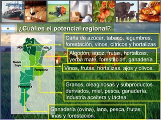 ¿Cuál es el potencial regional?   Caña de azúcar, tabaco, legumbres, forestación, vinos, cítricos y hortalizas Algodón, arroz, frutas, hortalizas, yerba mate, forestación, ganadería Vinos, frutas, hortalizas, ajos y olivos. Granos, oleaginosas y subproductos derivados, miel, pesca, ganadería, industria aceitera y láctea.  Ganadería (ovina), lana, pesca, frutas finas y forestación.  