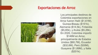 Exportaciones de Arroz
Los principales destinos de
Colombia exportaciones en
Arroz fueron Haití ($1,61M),
Guinea-Bissau ($151k),
Alemania ($14,5k), Finlandia
($5,85k), y Aruba ($5,26k).
En 2020, Colombia importó
$146M en Arroz,
principalmente de Estados
Unidos ($80,7M), Ecuador
($32,6M), Perú ($30M),
Guayana ($1,89M), y Italia
($201k).
 