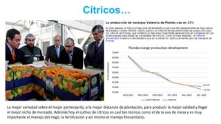 Cítricos…
La mejor variedad sobre el mejor portainjerto, a la mejor distancia de plantación, para producir la mejor calidad y llegar
al mejor nicho de mercado. Además hoy el cultivo de cítricos es casi tan técnico como el de la uva de mesa y es muy
importante el manejo del riego, la fertilización y así mismo el manejo fitosanitario.
 