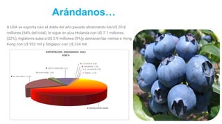 Arándanos…
 