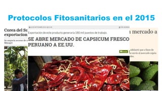 Protocolos Fitosanitarios en el 2015
 