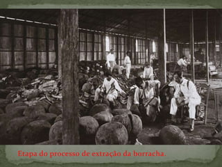 Etapa do processo de extração da borracha.
 