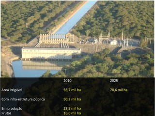 Perfis de mercadointernacionalCooperação técnica