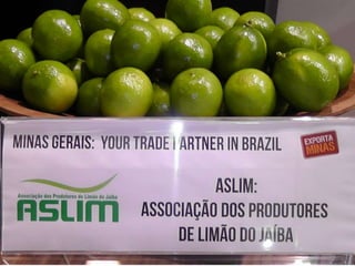 2011: Mais um ano de recordes ?