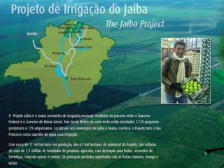 Mapeamento das Exportações de Minas Gerais (T-EXPORT)