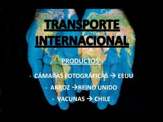 PRODUCTOS:
- CÁMARAS FOTOGRÁFICAS  EEUU
- ARROZ REINO UNIDO
- VACUNAS  CHILE
 